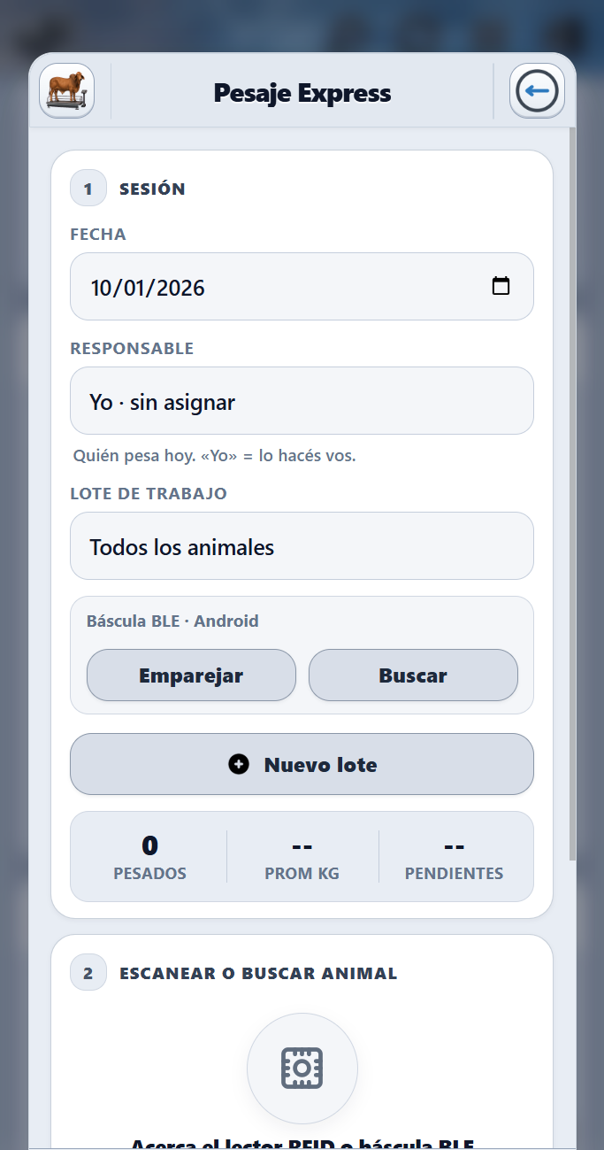 Pesaje Express en celular