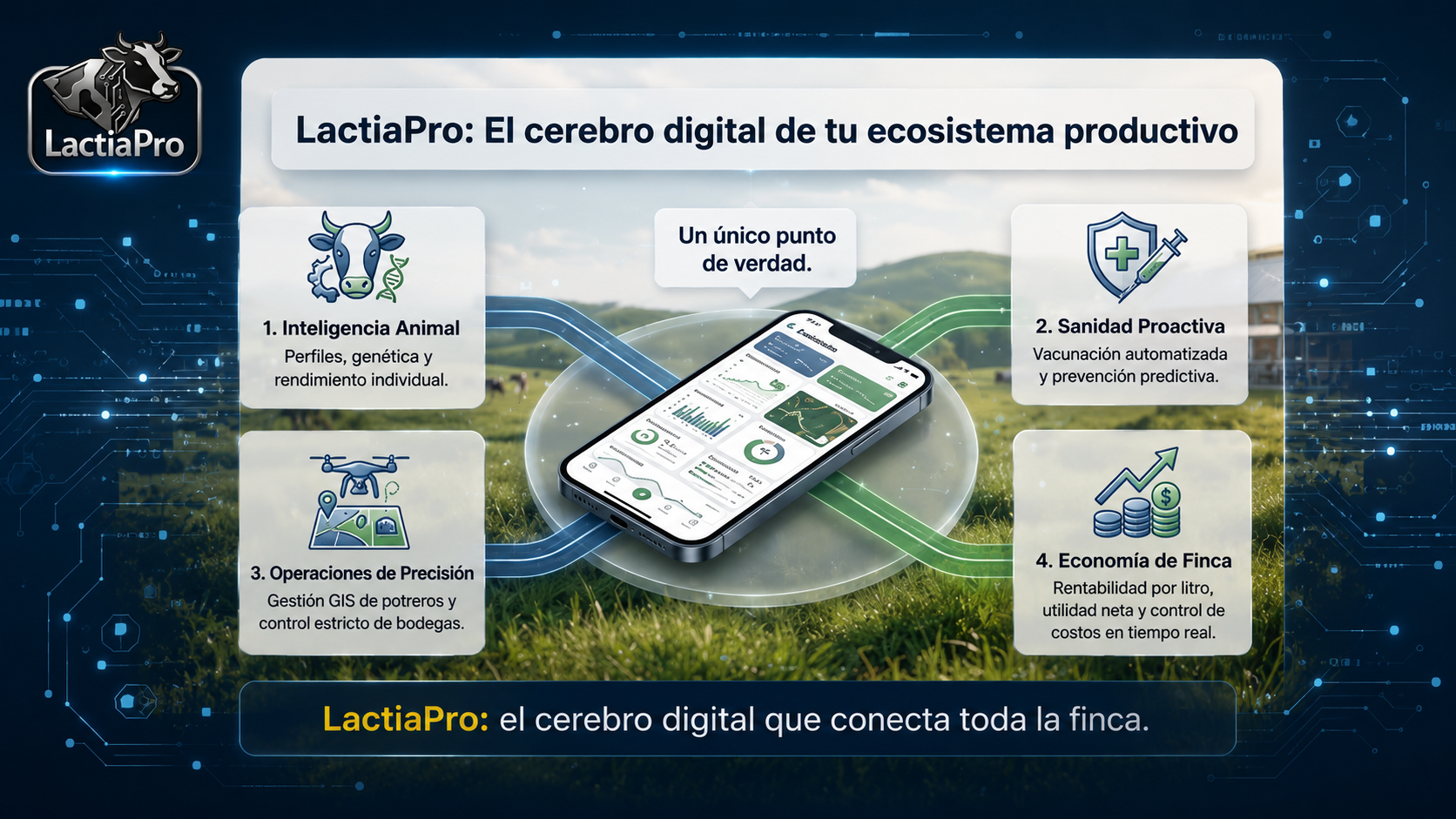 Rentabilidad en Tiempo Real